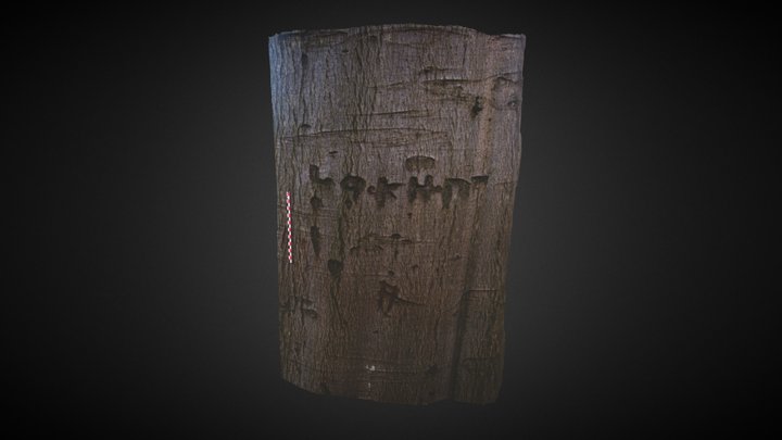 Arbre 13, Lillebonne, Normandie 3D Model