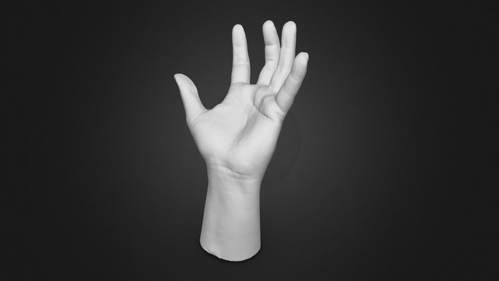 3D scanned hand 3D Model