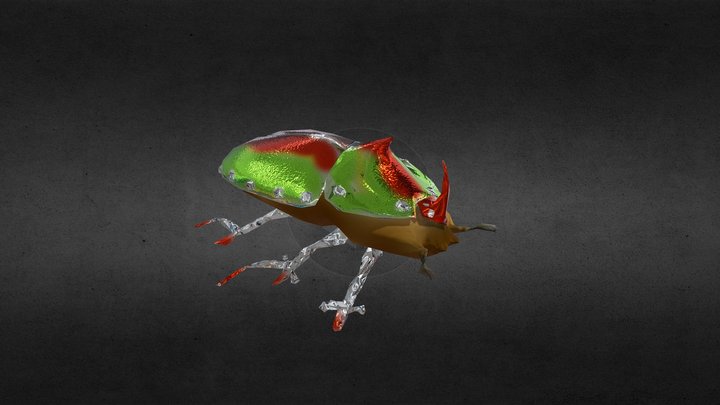 Beetle metal 3D Model