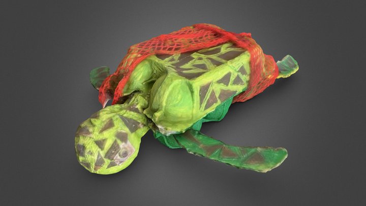 Cardboard turtle 3D Model