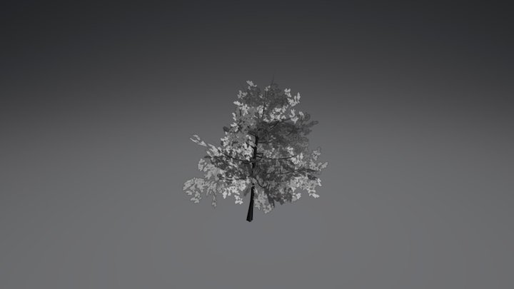 Tree - Ajani 3D Model