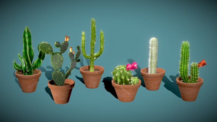 Cactus Pack 3D Model