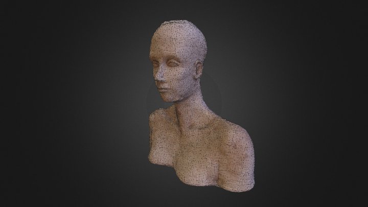 Bust 25.03 3D Model