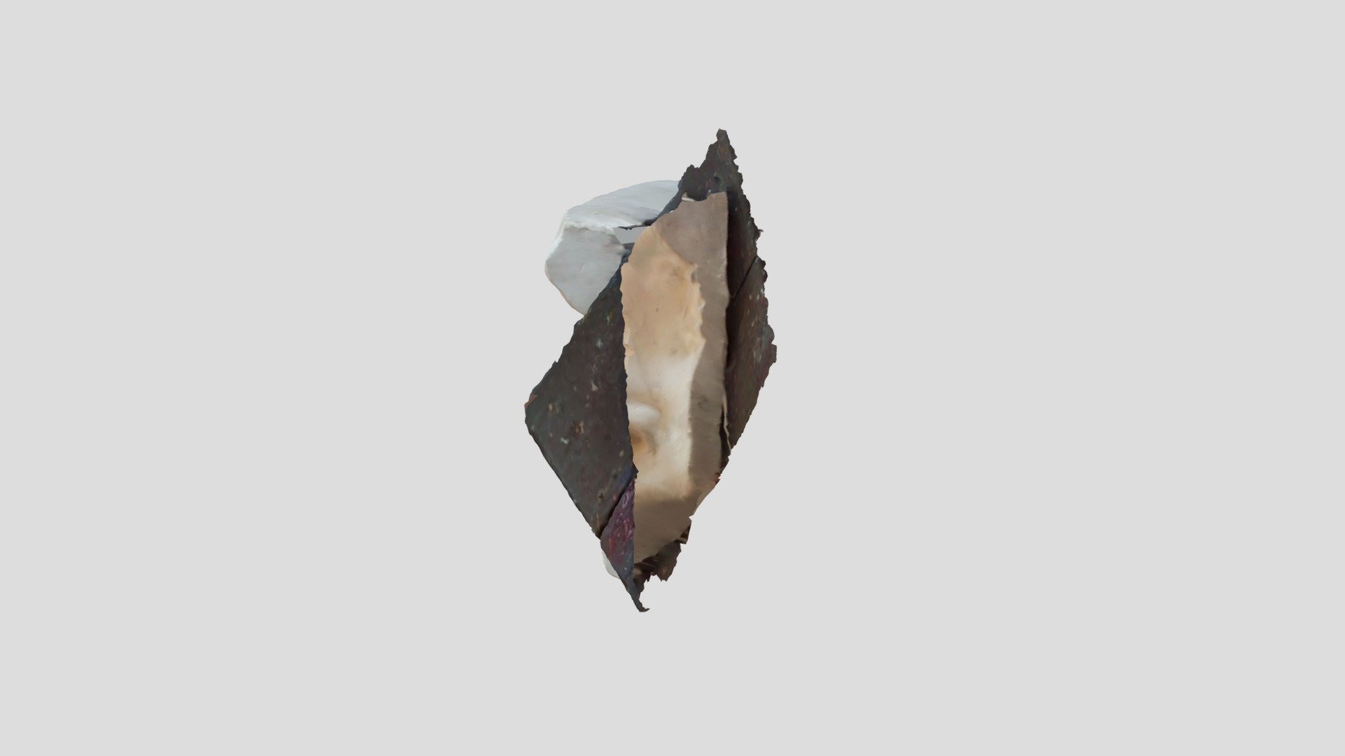 plaster nose