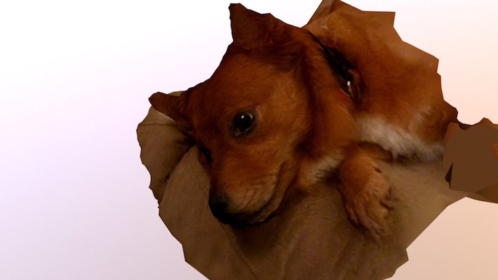 Roxy 3D Model