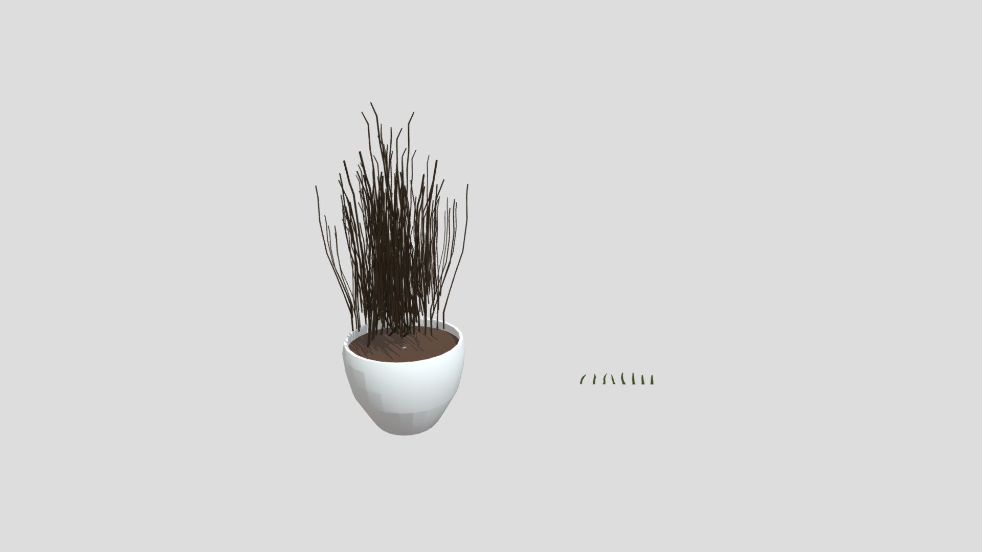 Flower Pot