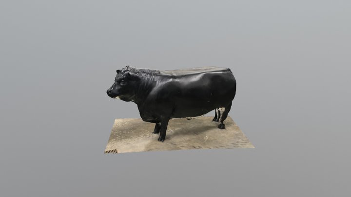 Cow_obj 3D Model