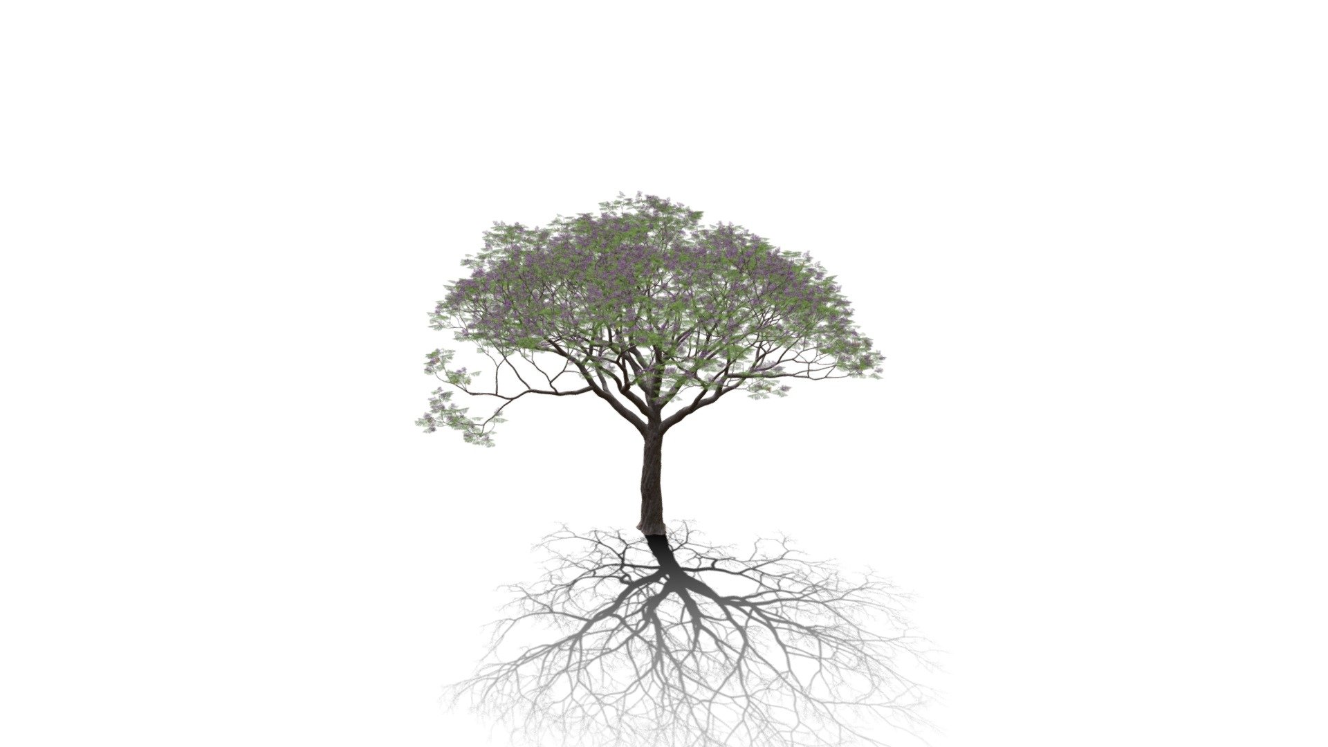 Realistic HD Chinaberry tree (10/30) - Download Free 3D model by ...