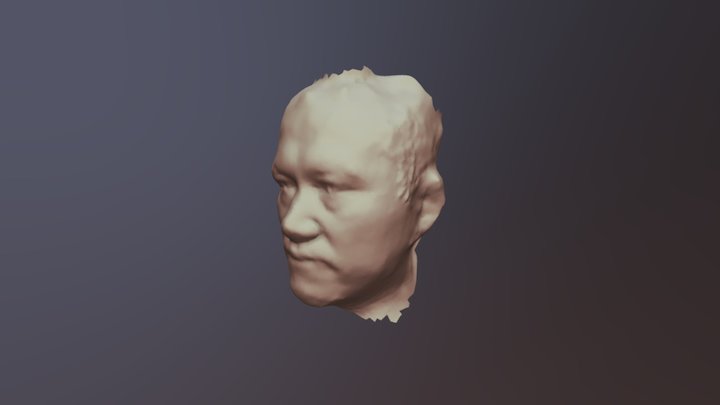 myface 3D Model
