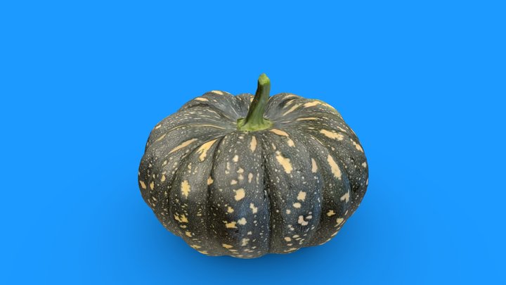 Pumpkin 3D Model