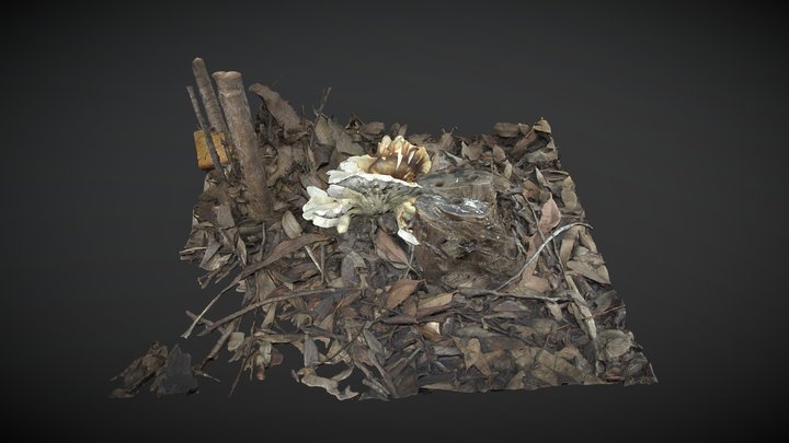 Mushroom 3D Model