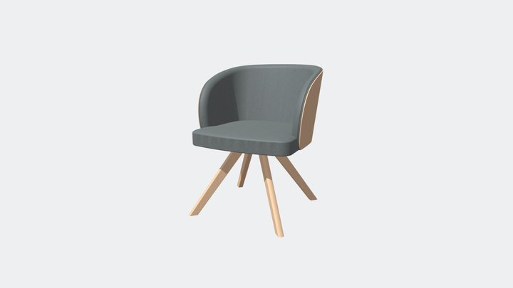 AS0013 3D Model
