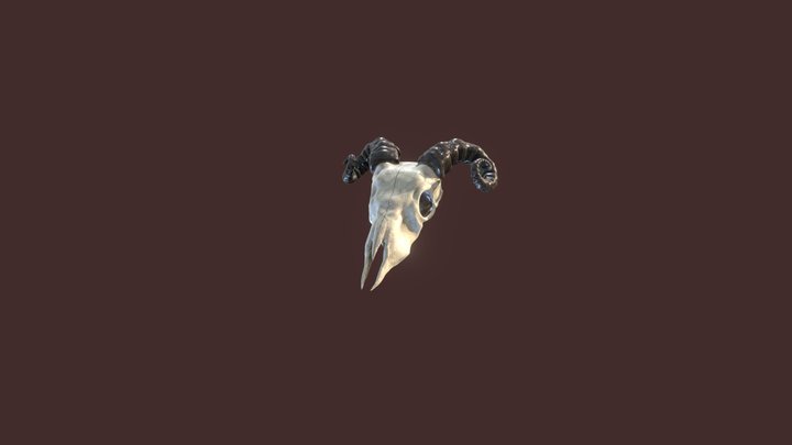 Realistic Goat Skull 3D Model