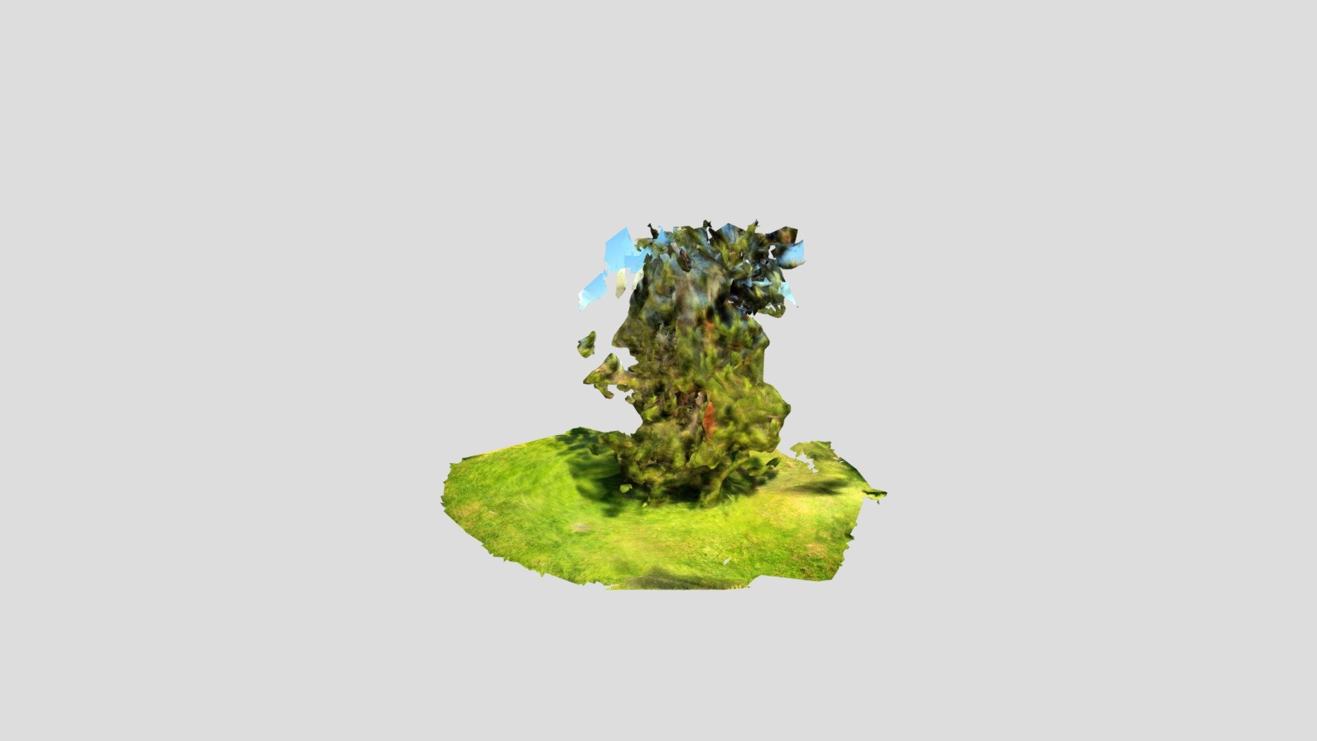 plant_04