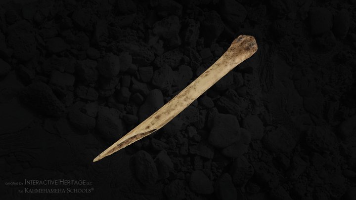 Kui houhou - Bird Bone Pick (7962-134) 3D Model