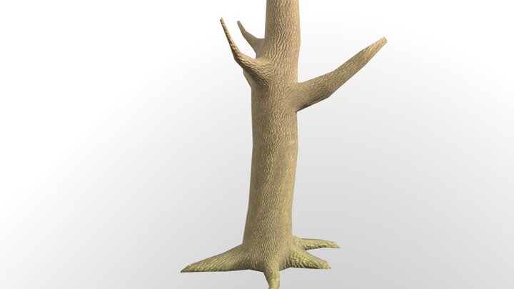 Tree trunk - Low Poly 3D Model