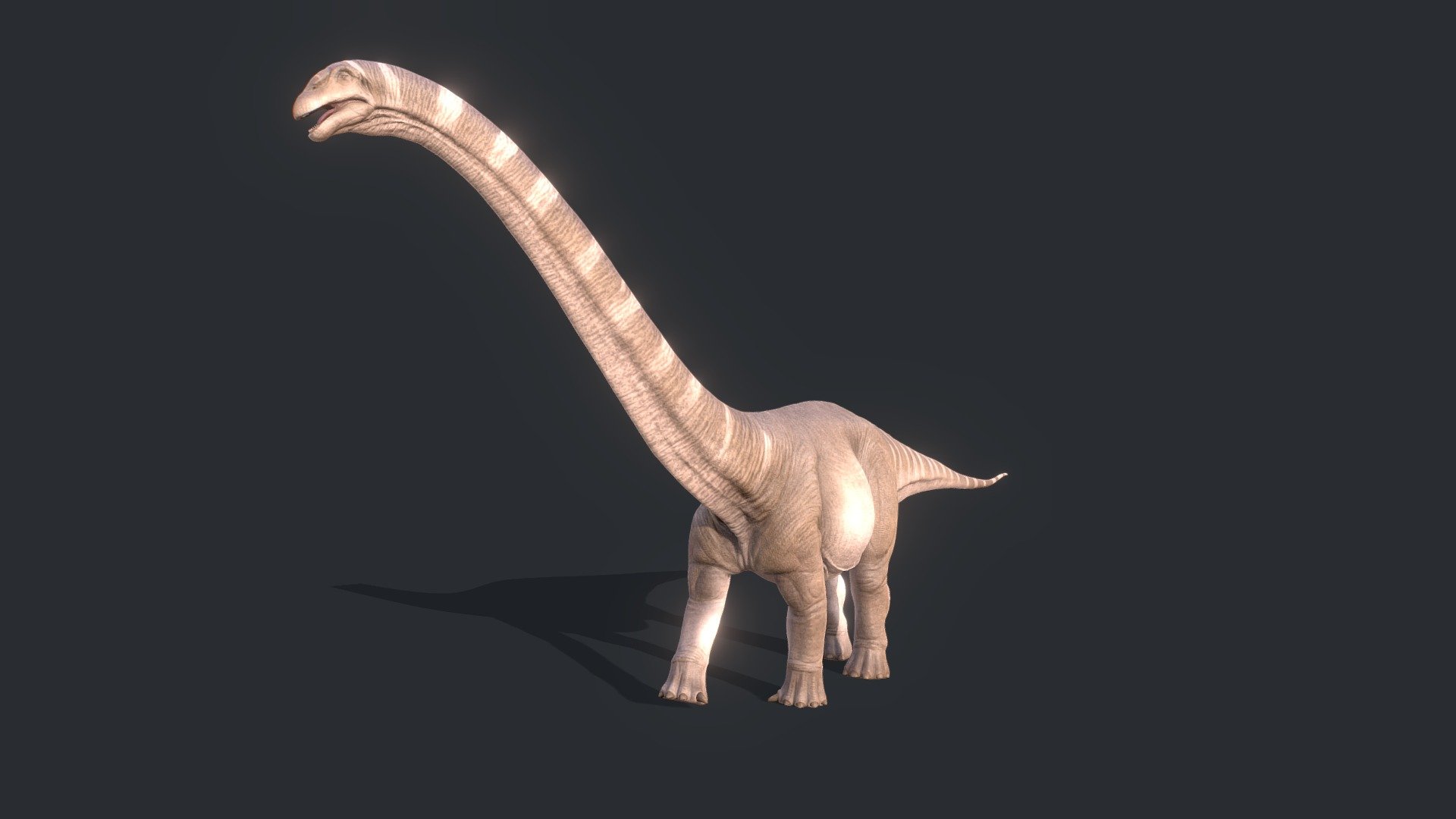 Diplodocus_001_(Walk)_001FBX