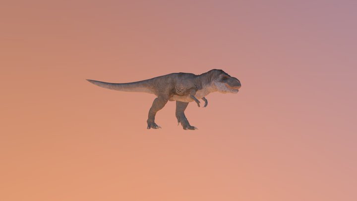 Trex OBJexport + SOOUND 3D Model