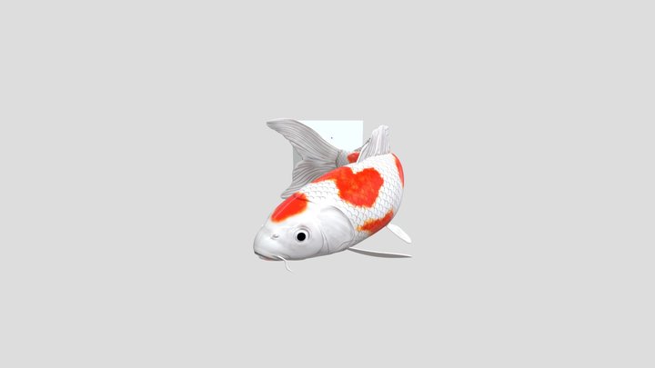 Ikan 3D Model