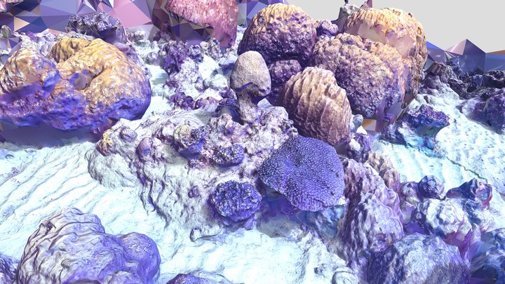 bigarea reef low q – Free 3D Model STL