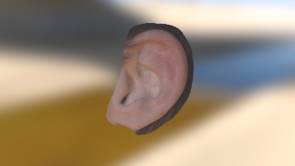 Ear