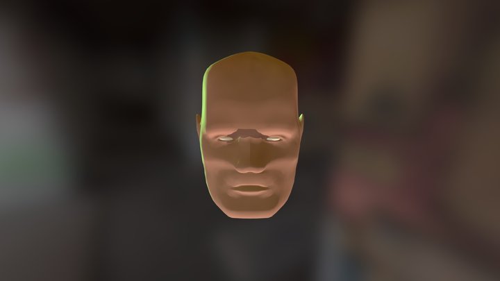 Head Model 3D Model