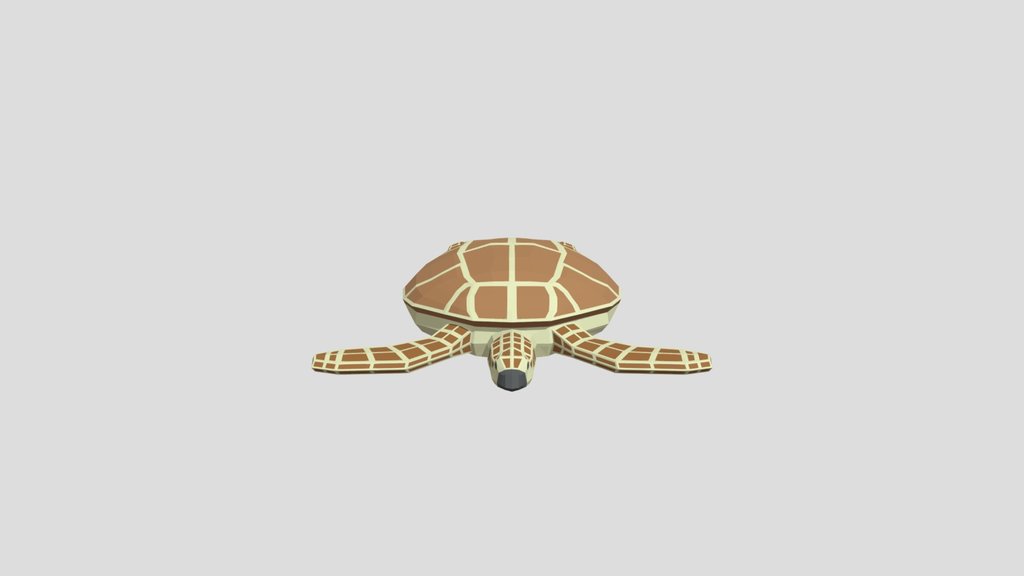 Low Poly Sea Turtle