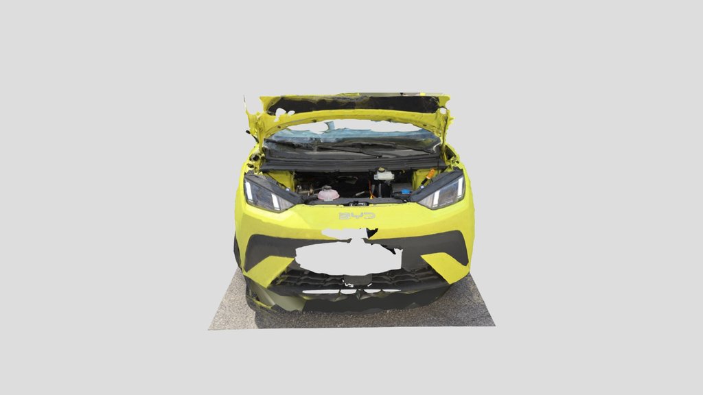 Exilaus Byd dolphin surf