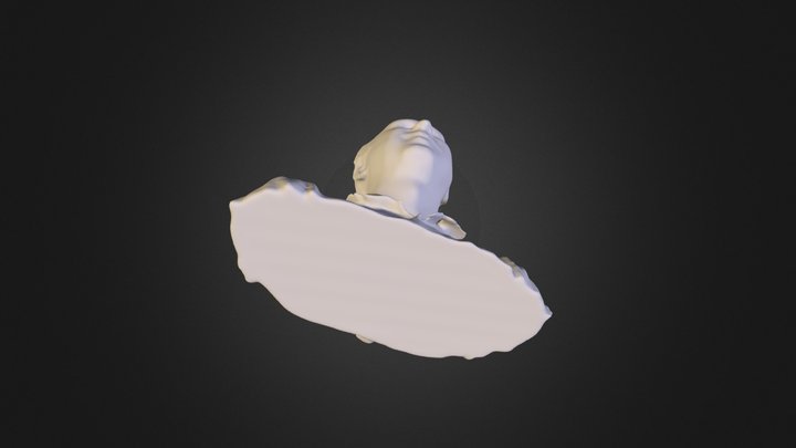 Tolga 3D Model