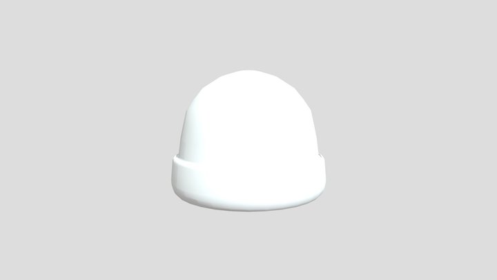 hat 3D Model
