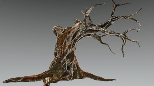 Holly Tree 3D Model