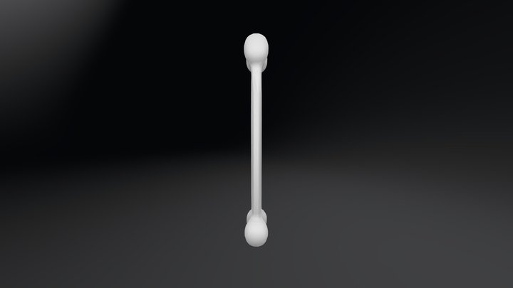 Bone 3D Model