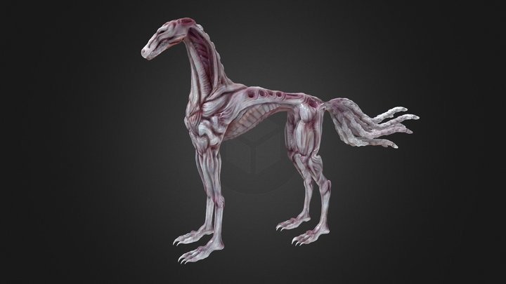 Horse Creature 3D Model
