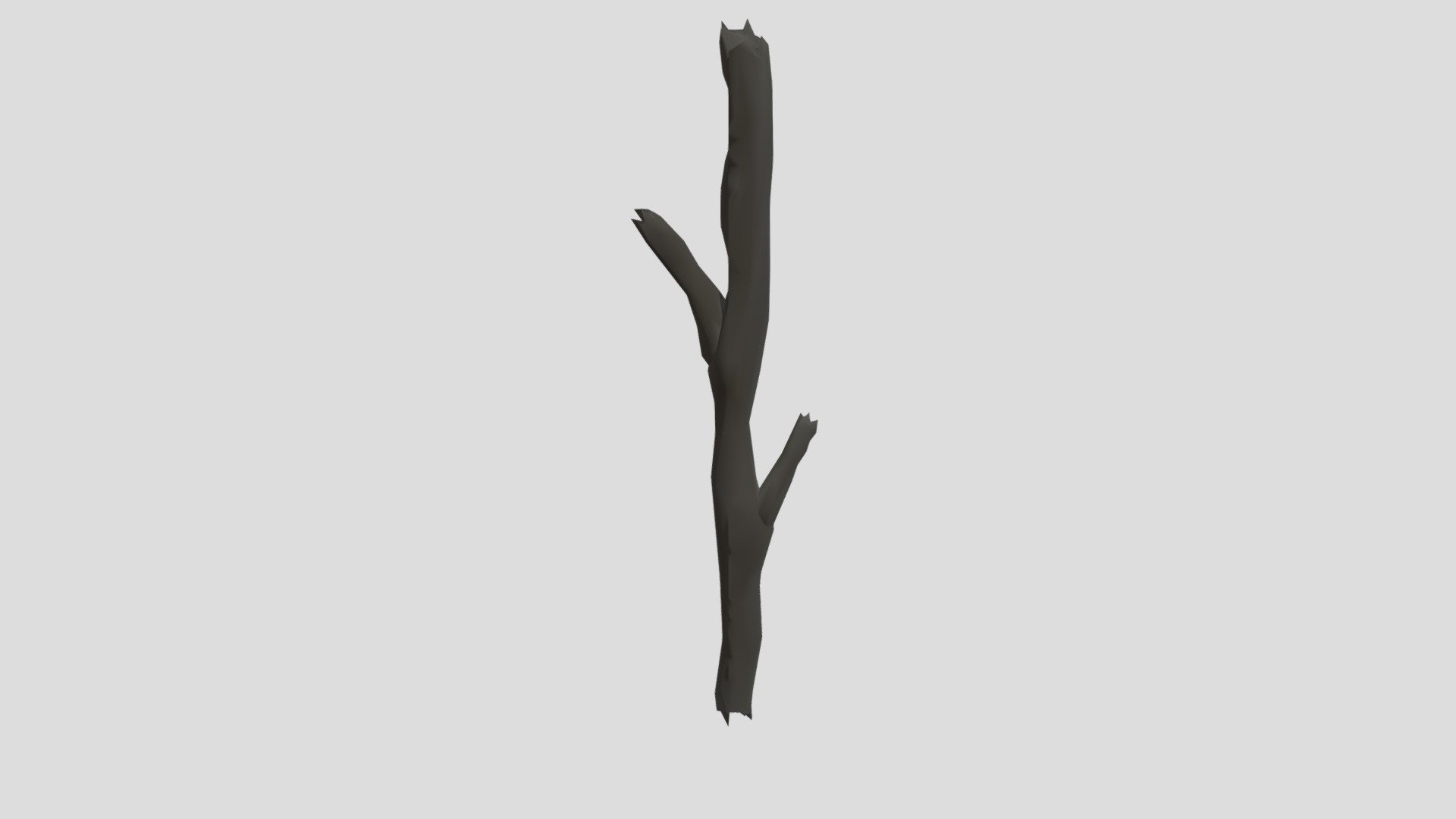 It's Branch