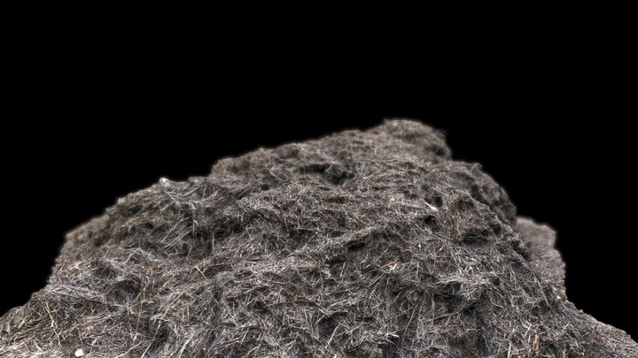 Dead Grass Pile Scan – Modelo 3D gratuito STL