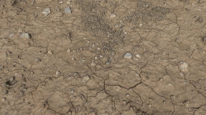 cracked soil 3D Model