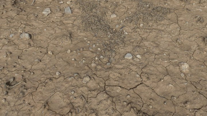 Desertification 3D models - Sketchfab