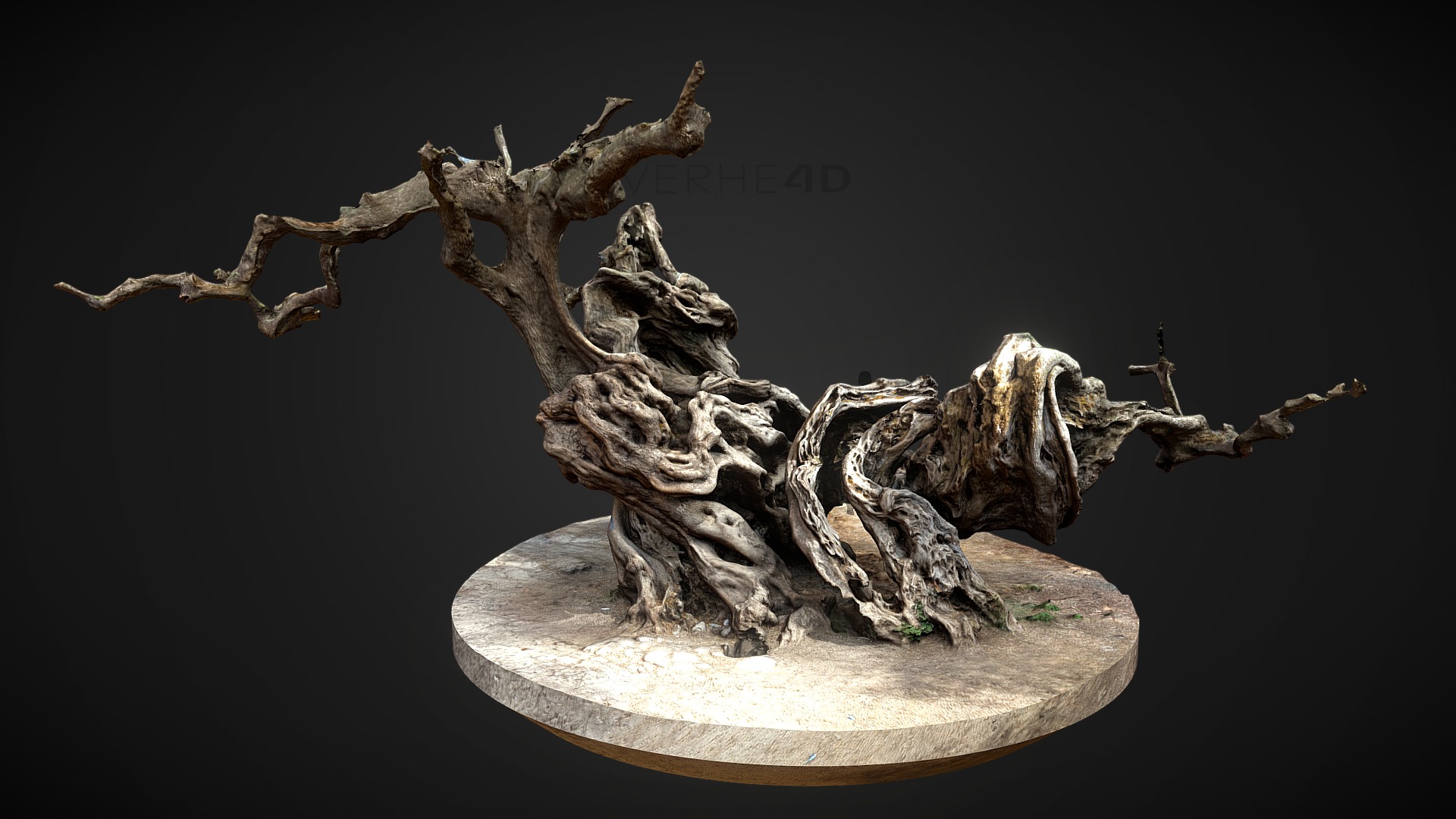 3D model Olive Tree / 2500 years old - This is a 3D model of the Olive Tree / 2500 years old. The 3D model is about a tree branch with a skeleton.