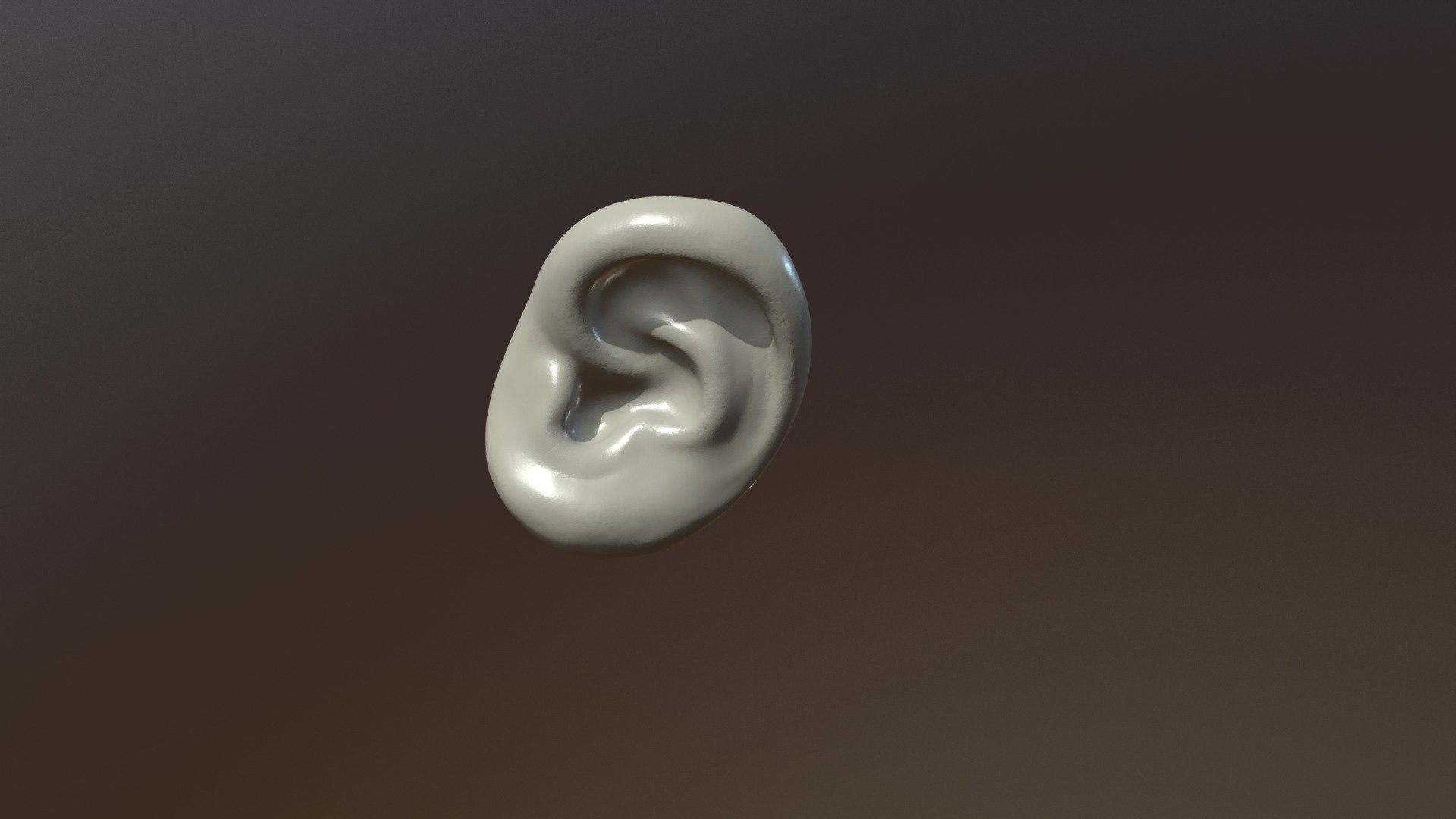 Round Ear - Buy Royalty Free 3D model by Skazok [b74537d] - Sketchfab Store