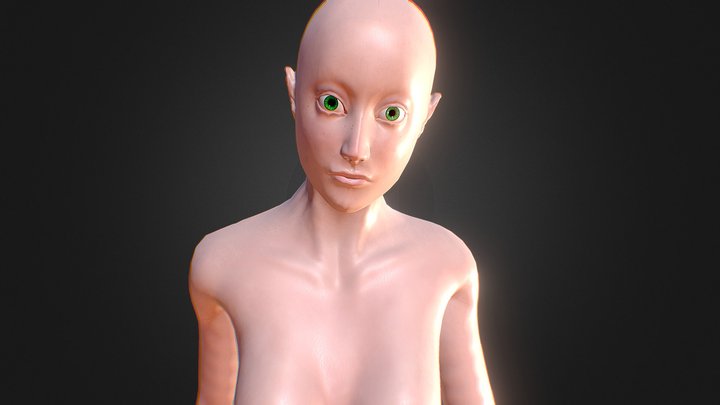 Mujer [2013-11-06] 3D Model