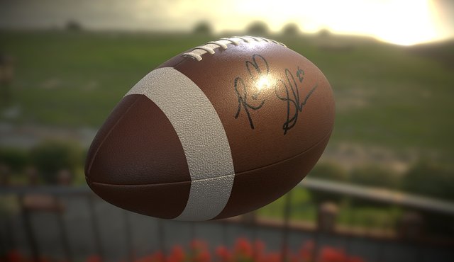 NFL Football 3D Model