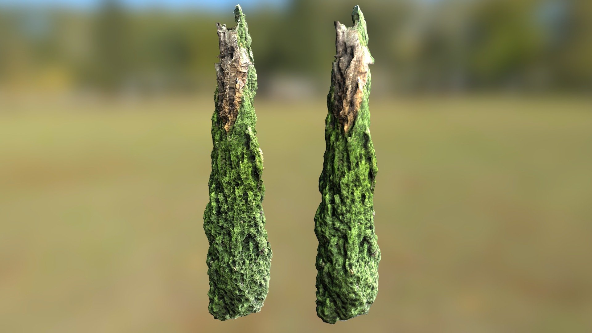 N061 Cypress - Free version