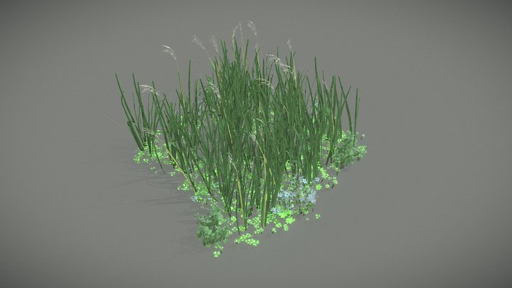 Stylized Plants 3D Model