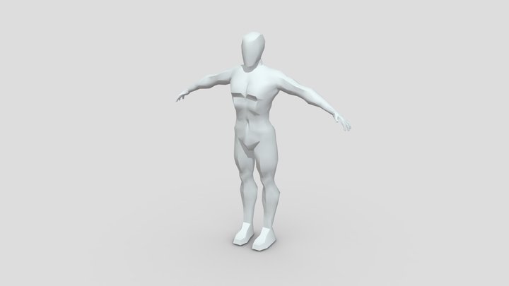 BaseMesh NightWing WIP 3D Model