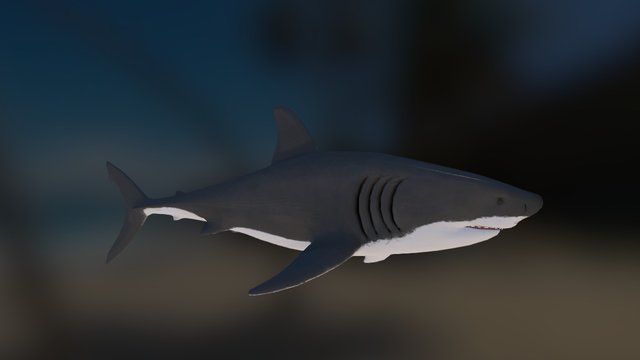 Sharkobj 3D Model