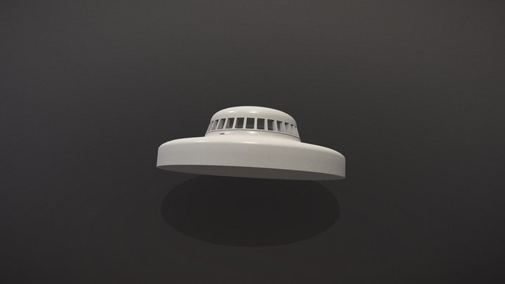 1 3D Model