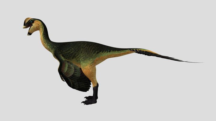 Oviraptor Female Accurate Rigged (Beryl Skin)