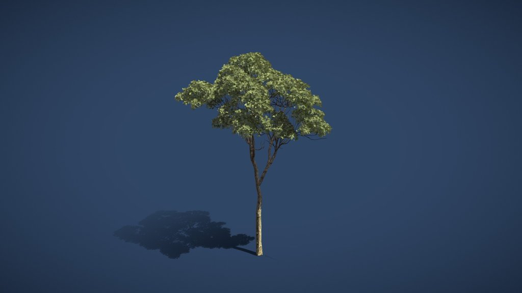 Jungle Tree