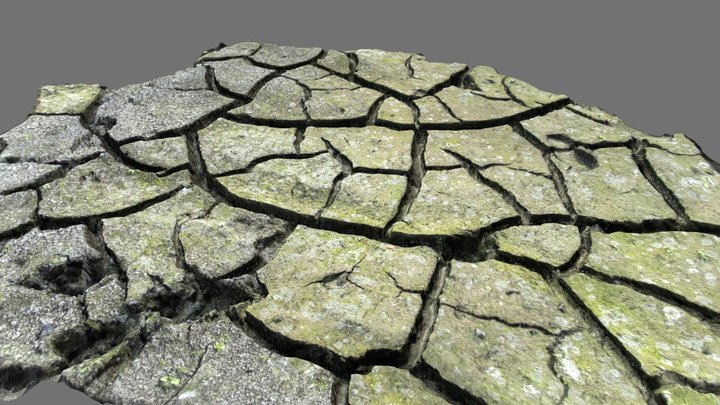 Cracked Mud 3D Model