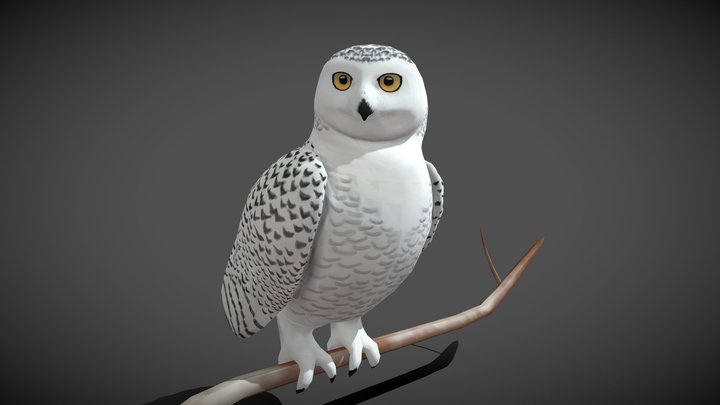 Snowy Owl 3D Model